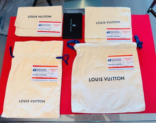 Louis vuitton small dustbag - louis,